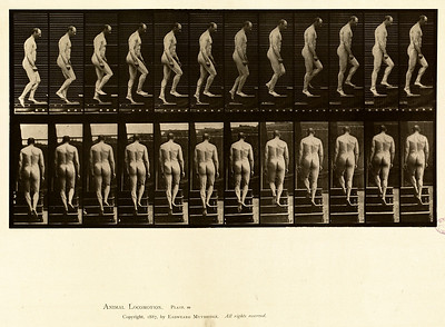 25 - Vol 1 - Plate 89